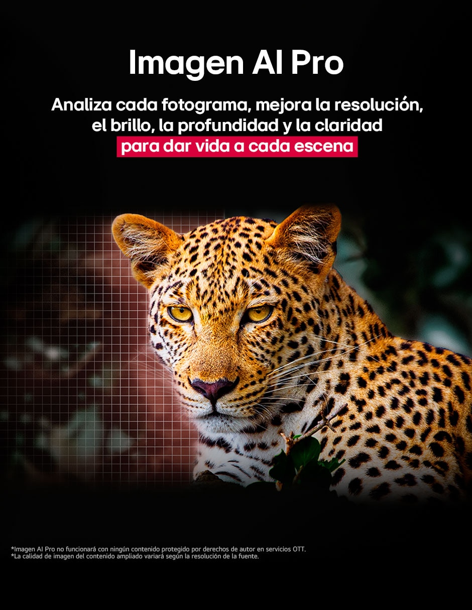 Pantalla Smart TV LG OLED de 55 pulgadas 4K OLED55B5PSA con WebOS con AI webOS