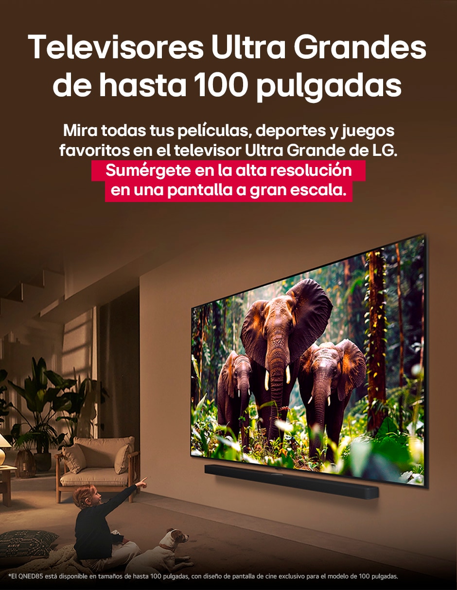 Pantalla Smart TV Lg QNED de 65 pulgadas 4K 65QNED85ASG con evo AI