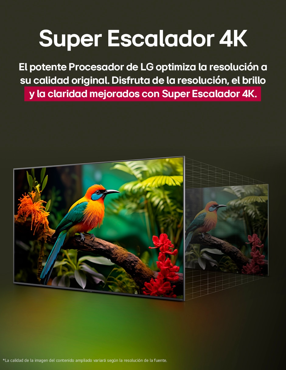 Pantalla Smart TV LG NanoCell de 75 pulgadas 4K 75NANO80ASA con WebOs