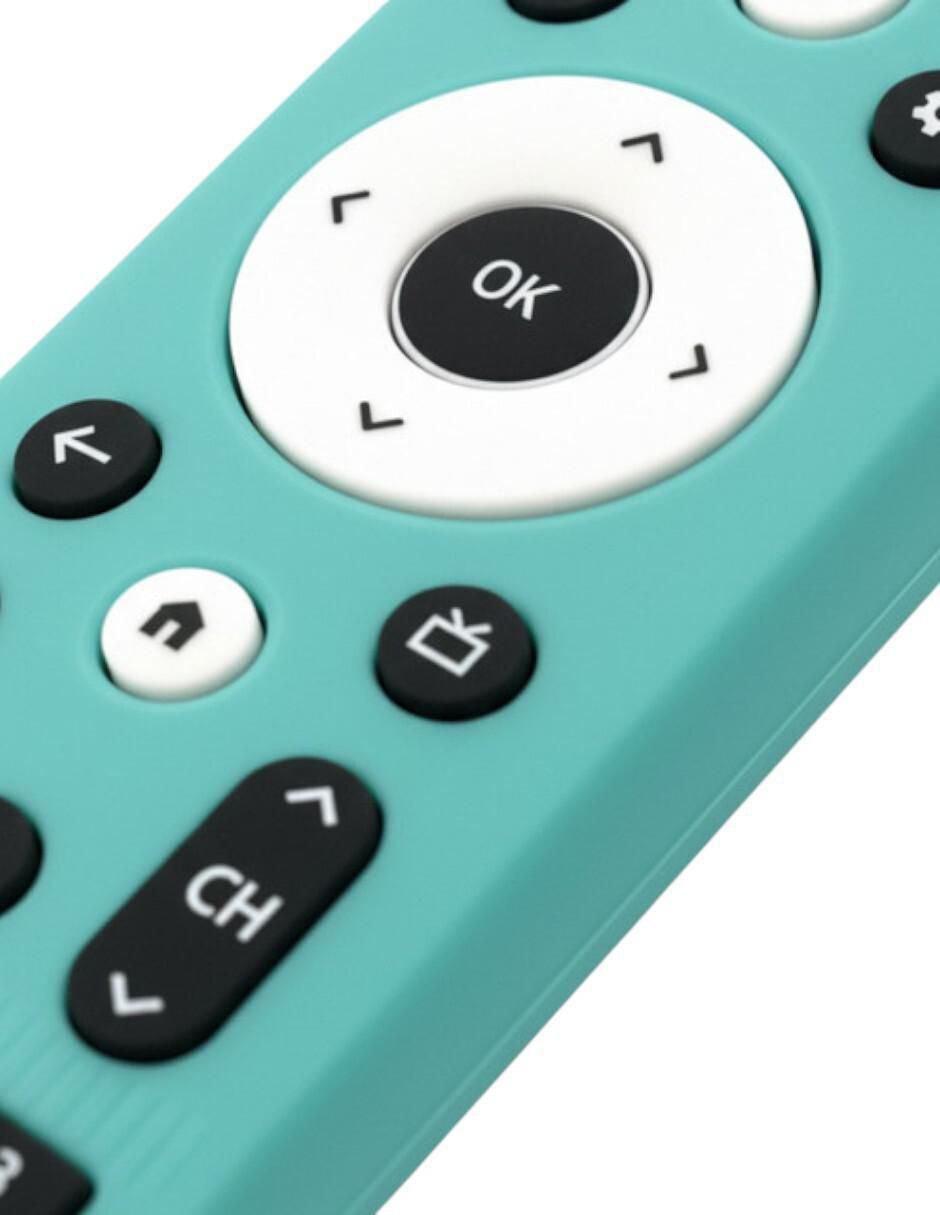 Funda para control remoto 3