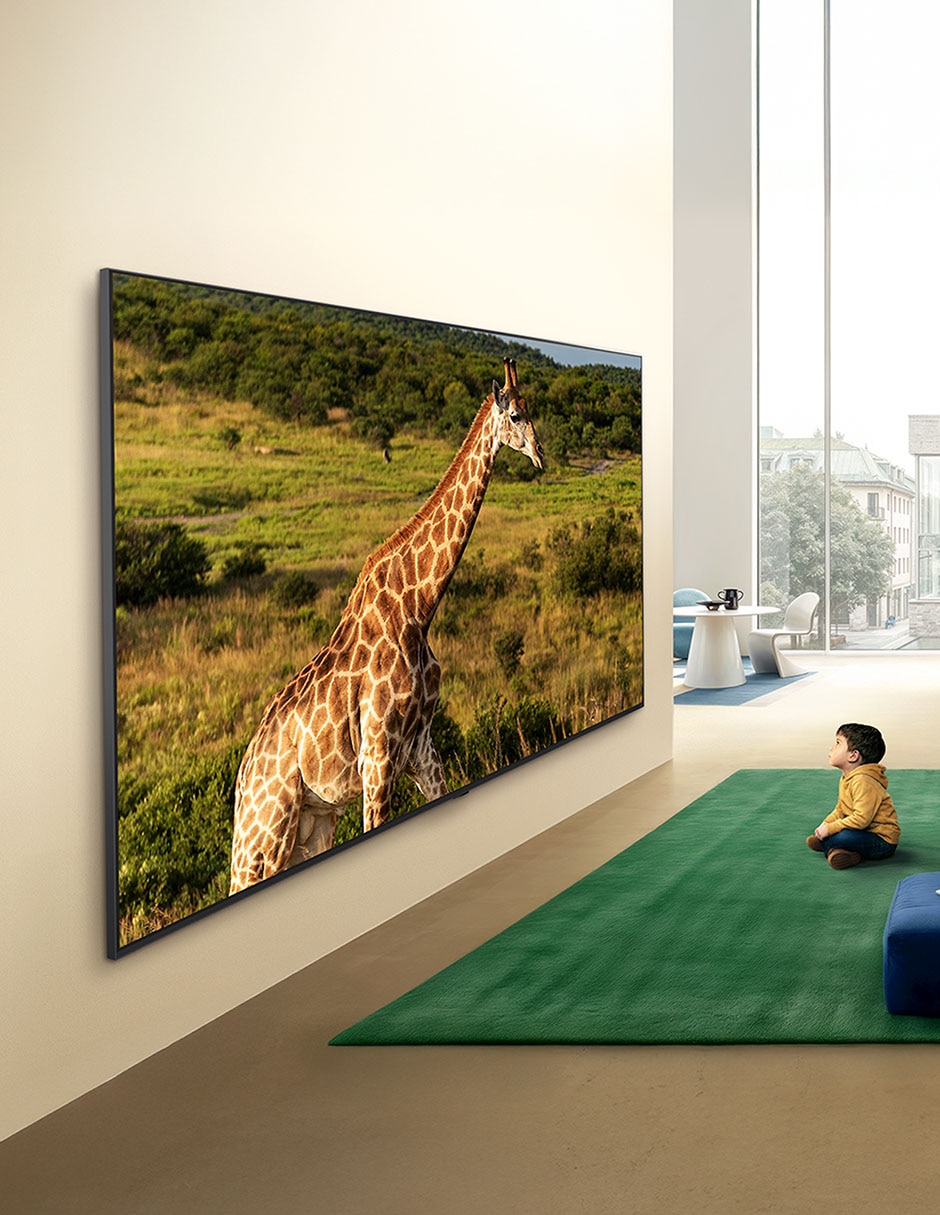 Pantalla Smart TV QNED de 100 pulgadas 4K/UHD 100QNED85BS con evo AI 4