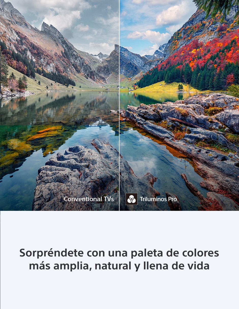 Pantalla Smart TV Sony OLED de 65 pulgadas 4K/UHD Bravia 6 con Google TV